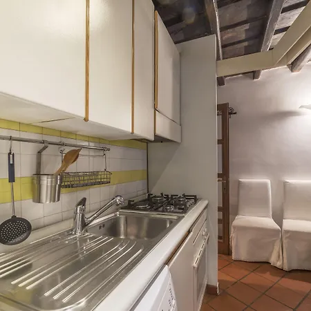 Stylish Flat Domus Aurea 公寓